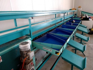 Καλιμπραδόρος